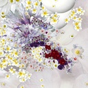 Fanette Aux Fleurs