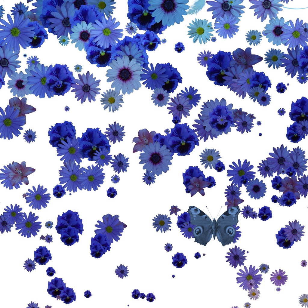 Pluie De Fleurs