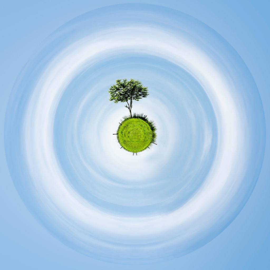 L'Arbre Solitaire (80x80cm)