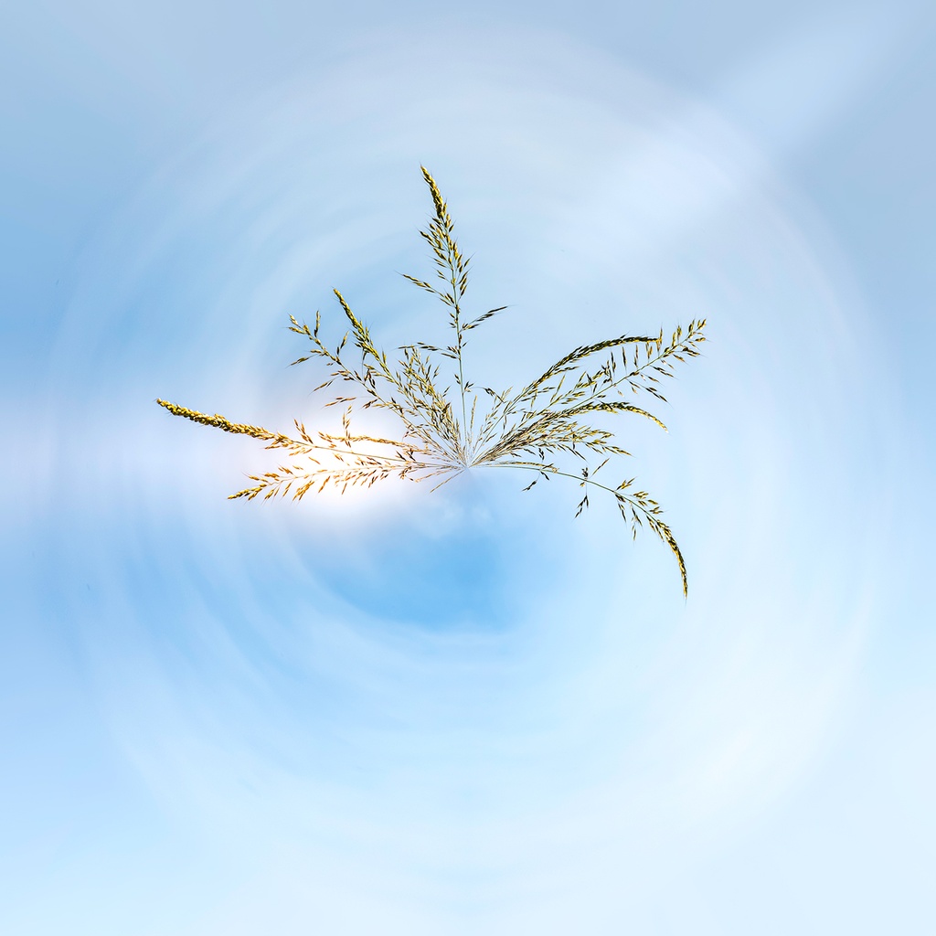 Renaissance (80x80cm)