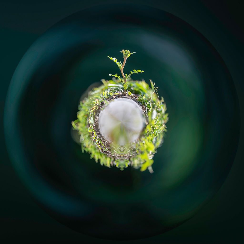 Levez-vous, vous n'êtes pas seul (80x80cm)