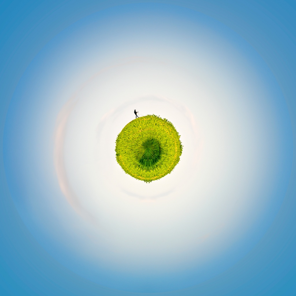 Walking on the Green Planet (80x80cm)