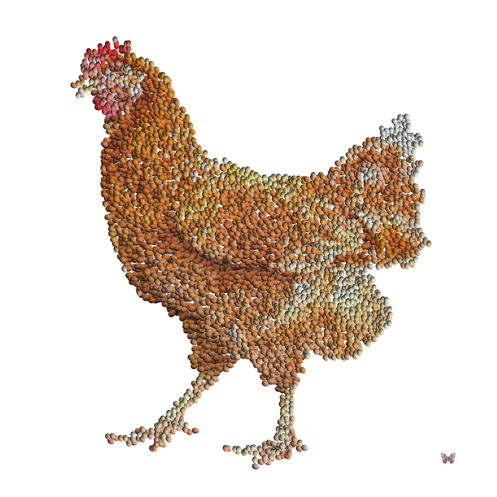 Le Paradoxe (80x80cm)