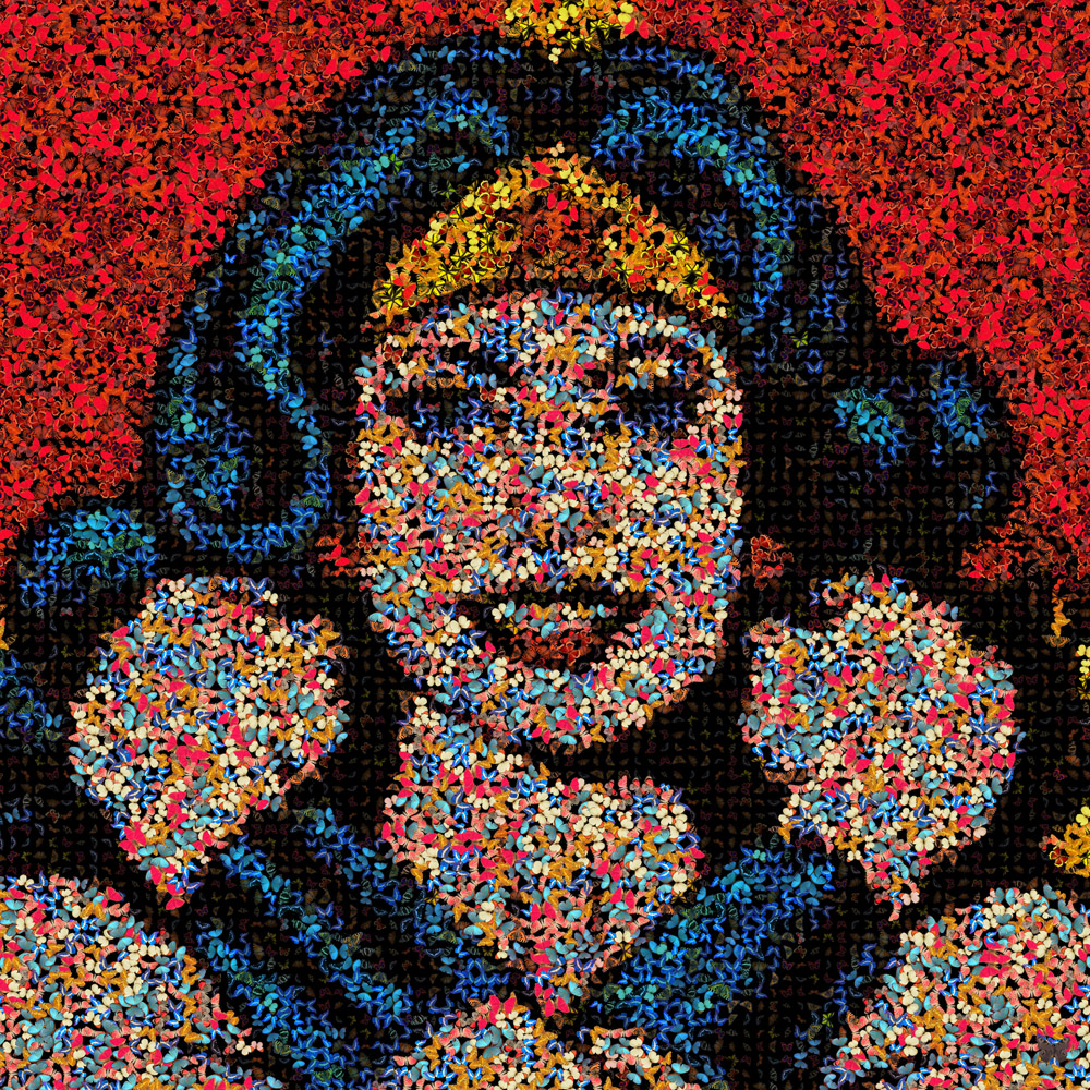 Wonder Woman Aux Papillons (80x80cm)