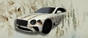 ART CAR Bentley Continental GT coming from Metaverse ART+3