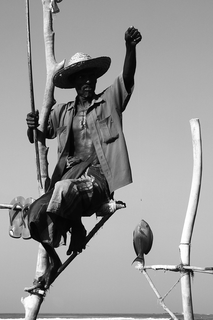 Fisherman Sri Lanka