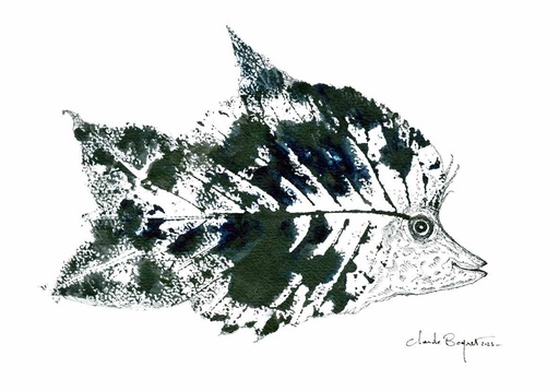 Leaf Fish 02